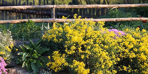 Kr\u00e4uterkurs - Frisch und G'sund