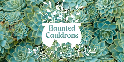 HAUNTED CAULDRON SUCCULENT WORKSHOP