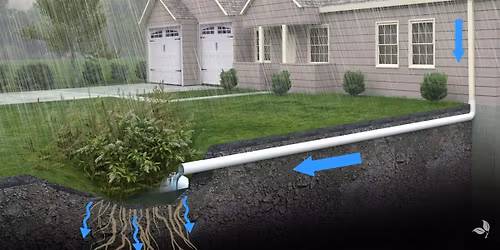 Rain Gardens & Drainage Lecture