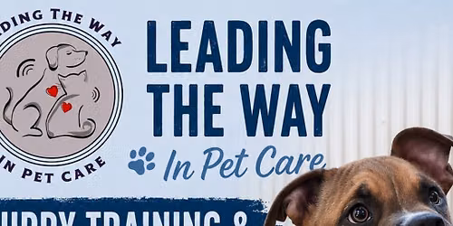 Puppy Training & Socialisation Classes 