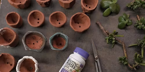 Succulent Workshop by Nigel Callisto