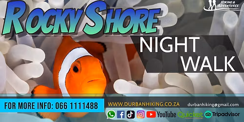 Rocky Shore Night Walk