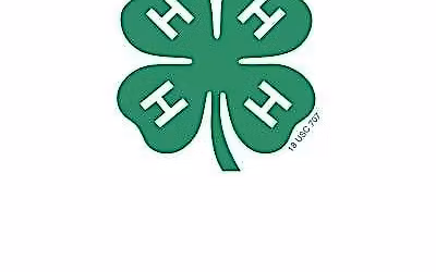 4-H Cloverbud Sewing