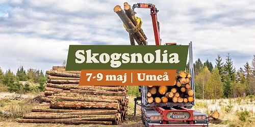 Skogsnolia | 7-9 maj 2026 | Ume\u00e5