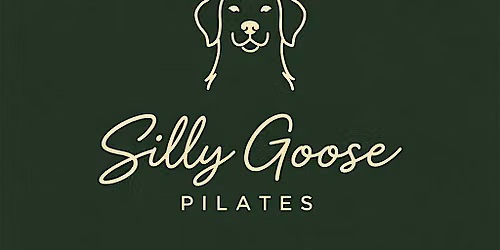 Silly Goose Hits the Shore