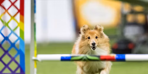 P\u0159edsilvestrovsk\u00e1 party Kladno