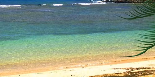 Cabana Boys - Live at the Coffeehouse