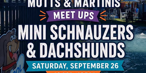 \ud83d\udc3e\ud83c\udf2d **MINI SCHNAUZERS & DACHSHUNDS MEET UP!** \ud83c\udf2d\ud83d\udc3e