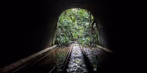 [Mini Hike] Maju Forest