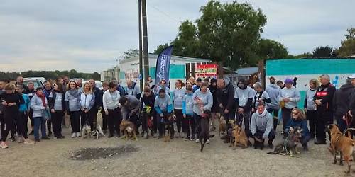 \ud83c\udf84 \ud83c\udf85 No\u00ebl au Refuge de Nargis \ud83c\udfc3\u200d\u2642\ufe0f\ud83d\udeb6\u200d\u2642\ufe0f\ud83d\udc15\u200d\ud83e\uddba\ud83d\udc15