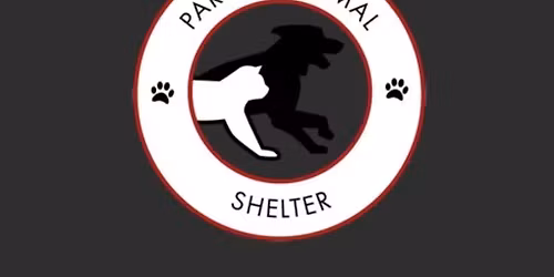 reverse 6s volleyball tournament benefiting Parma Animal Shelter