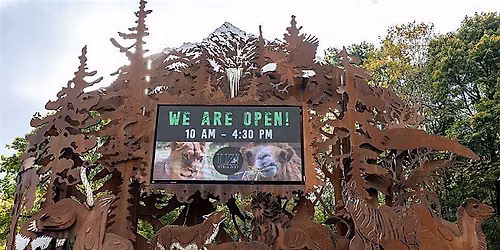 Family Adventure: Utica Zoo Wild Discovery