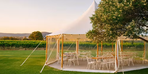 Christmas Week in the Marquee