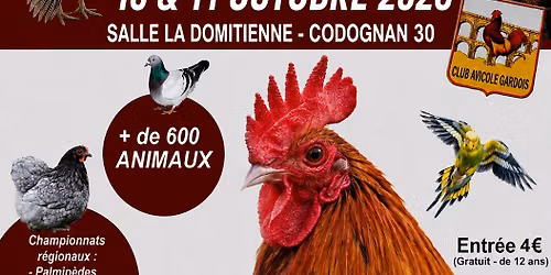 Exposition avicole de Codognan 30