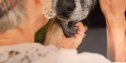 Animal Companion Grief Support Group