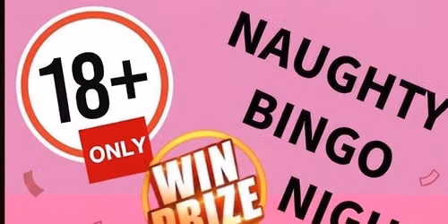NAUGHTY BINGO AND OTHER GAMES VOL. #3