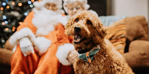 Christmas at Oak Ridge: Pics with Pups