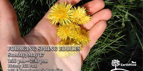 Foraging Spring Edibles
