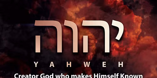 precious lives of the elderly, non-profit organization, hosting a vendor event