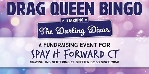 DRAG QUEEN BINGO • Spay it Forward CT Fundraiser