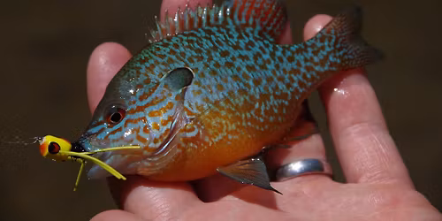 EcoTalks: Fisheries and Wetland Research