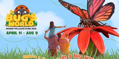 A Bug's World