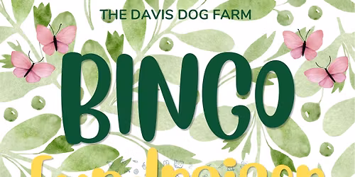 BINGO Fundraiser