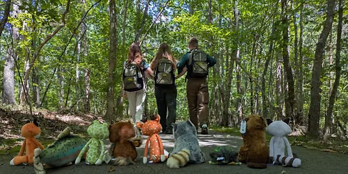 Junior Ranger Family Camp