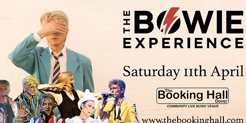 The Bowie Experience