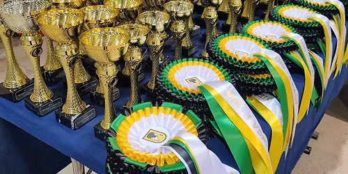 SNJ ry Erikoisn\u00e4yttely 2026