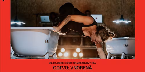 DIVADLO ZA ZRKADLOM \/ ODIVO: VNOREN\u00c1