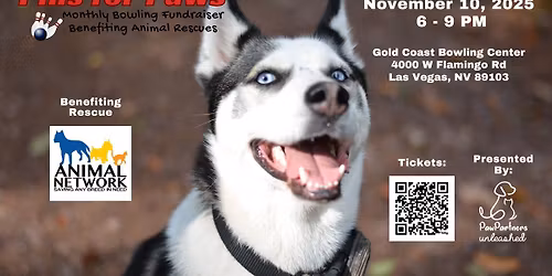 Pins for Paws Benefiting Animal Network