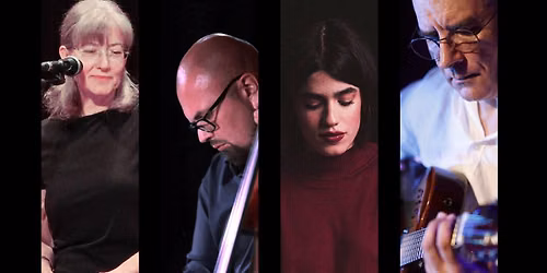 Ioana M\u00eentulescu \u2022 Sorin Romanescu \u2022 Ana Salomia \u2022Vlady S\u0103teanu 