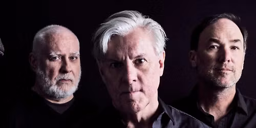 Toadies in City of Rochester