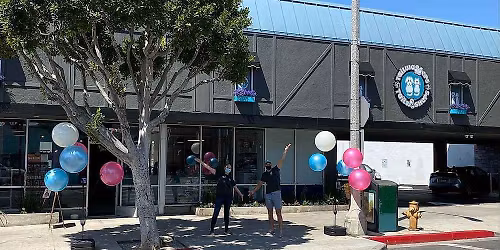 Larchmont (Los Angeles) - Dog dental cleaning