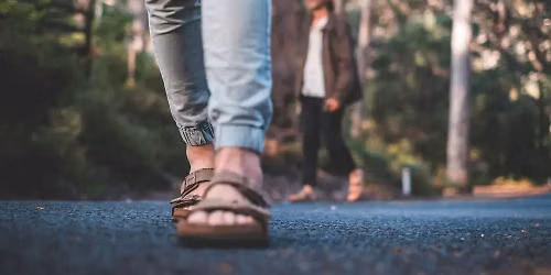 Forest Bathing Walk