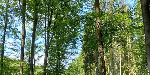 Grenet Nature Trail