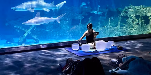 Sound bath under the Sea 