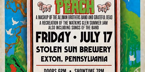 Steal Your Peach Playing the Watkins Glen Summer Jam!
