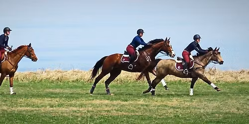 Hunter Pace - Sandpiper Farm 