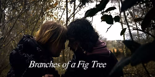 Fig Tree Film Pub Quiz