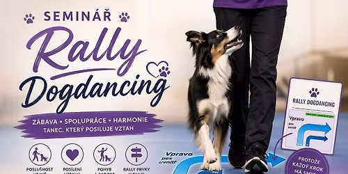 Semin\u00e1\u0159 Rally Dogdancing v Liberci 