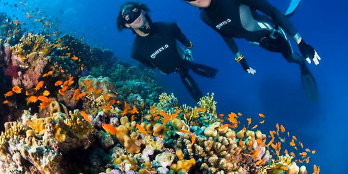 Begginer Freediving Course