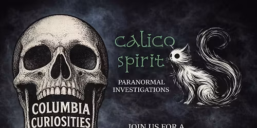 Paranormal Investigation