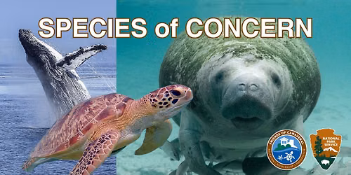 Species of Concern in CANA