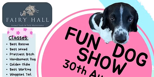 Fairy Hall Fun Dog Show