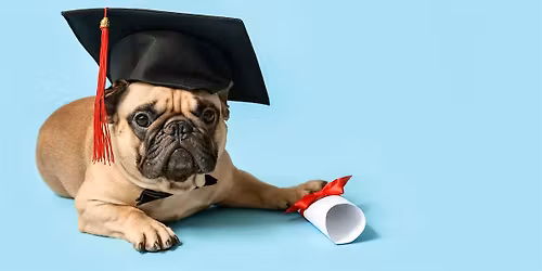 MHS Class of 2026 Project Graduation