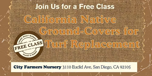 California Native Ground-Covers for Turf Replacement