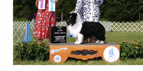 Lake Superior Cluster