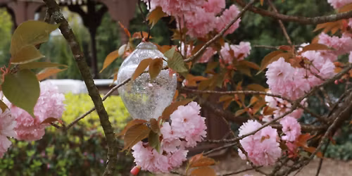 Mother's Day Garden Tea